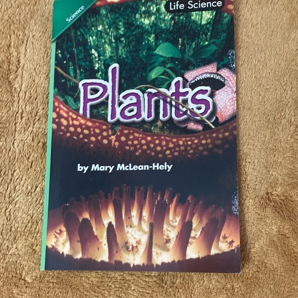 Lot of books 13 total - Picture 4 of 17